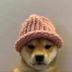 Криптовалюта dogwifhat dogwifhat WIF Криптовалюта dogwifhat dogwifhat WIF