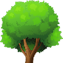 Криптовалюта Octree Octree OCT Криптовалюта Octree Octree OCT