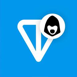 Криптовалюта Gram (prev. Toncoin) Gram (prev. Toncoin) TON