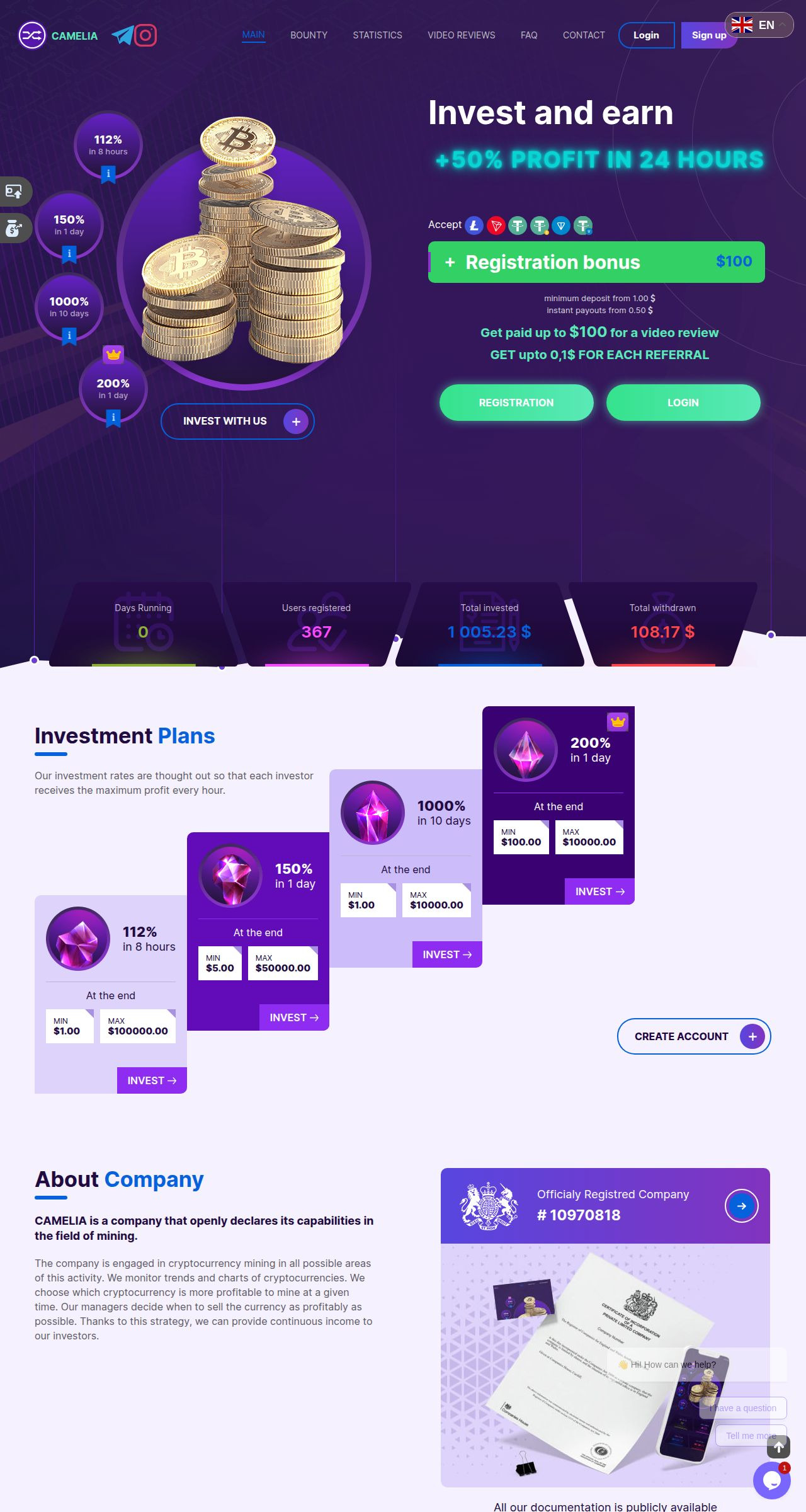 Инвестиционный проект Camelia