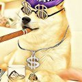 Перспективность криптовалюты Dogecoin