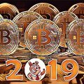 Стоит ли покупать Биткоин в 2019 году? Стоит ли покупать Биткоин в 2019 году?