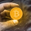 GoMining запустила платежный сервис GoBTC Pay в сети биткоина GoMining запустила платежный сервис GoBTC Pay в сети биткоина