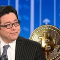 BitMine Тома Ли сообщила, что её запасы ETH достигли 5,67 млн токенов