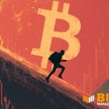 Strive нарастила биткоин-казну до 19 864 BTC: глава компании говорит о покупках на падении
