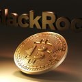 BlackRock: доля биткоина в 1–2% разумна для традиционных портфелей
