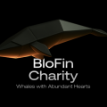 BloFin направляет $1 млн USDT и 12 млн боливаров помощи пострадавшим от землетрясения в Венесуэле