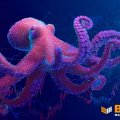 Kraken добивается окончательного решения суда после присуждения $22 млн от бывшего аудитора