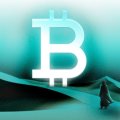 12-летний спор о биткоине вернулся: BIP-110 раскалывает сообщество