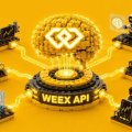 WEEX OpenAPI: пять модулей, совместимость с Binance и комиссии для партнёров WEEX OpenAPI: пять модулей, совместимость с Binance и комиссии для партнёров