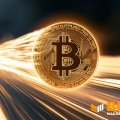 Strive (ASST) купила 21 биткоин: резерв достиг 19 921 BTC, а кэш вырос до $157 млн