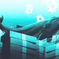 Прогноз цены Bitcoin на август 2026: киты ставят против 4-летней серии убытков