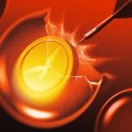Венчурный инвестор, по сообщениям, отказался от крипто-проекта Трампа после оговорки Стива Уиткоффа о мемкоине Венчурный инвестор, по сообщениям, отказался от крипто-проекта Трампа после оговорки Стива Уиткоффа о мемкоине
