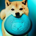 Прогноз цены Shiba Inu на август 2026 года: SHIB исполняется 6 лет