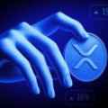 XRP потерял 93% институциональных денег, но киты почуяли выгоду XRP потерял 93% институциональных денег, но киты почуяли выгоду