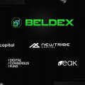 Beldex привлекла $8 млн на расширение инфраструктуры приватности для Web3 и ИИ Beldex привлекла $8 млн на расширение инфраструктуры приватности для Web3 и ИИ