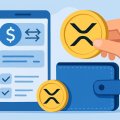 Как безопасно купить XRP: выбор биржи и кошелька