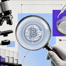 Биткоин-транзакция: как ее прочитать и отследить