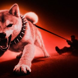Мёртв ли Shiba Inu (SHIB)? Ончейн-данные рисуют грустную картину