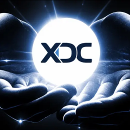 Предложение стейблкоинов приближается к $310 млрд, поскольку XDC интегрирует принадлежащий Stripe сервис Bridge