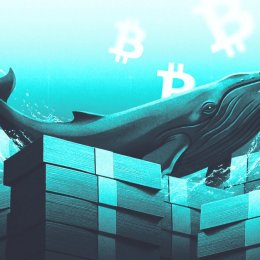 Прогноз цены Bitcoin на август 2026: киты ставят против 4-летней серии убытков