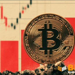 Биткоин вырос выше $81 000 — и потянул за собой акции, связанные с BTC