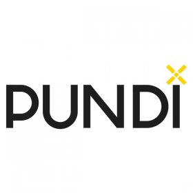 Обзор криптовалюты Pundi X / Пунди Икс (NPXS)