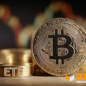 BlackRock Tells Investors to Put Bitcoin in Their Portfolios BlackRock Tells Investors to Put Bitcoin in Their Portfolios
