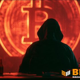 Swiss Bitcoin Pay отключила серверы после утечки данных