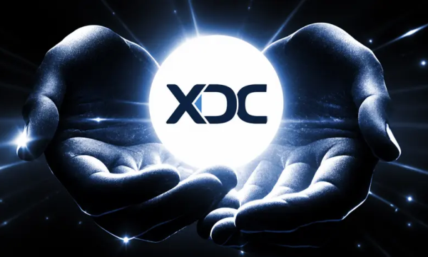 Stablecoin Supply Nears $310 Billion as XDC Integrates Stripe-Owned Bridge Stablecoin Supply Nears $310 Billion as XDC Integrates Stripe-Owned Bridge