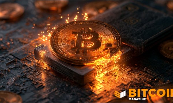 BitBox Warns Bitcoiners After Discovering ‘Severe’ Vulnerability In Firmware