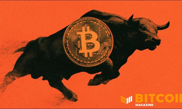 Bitcoin Has Its Best Week Since 2023 as Shortsellers Continue To Get Wiped Out