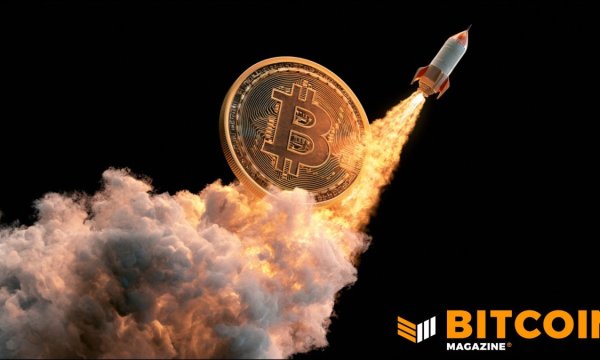Вышел ли биткоин из медвежьего рынка? Эти аналитики так думают