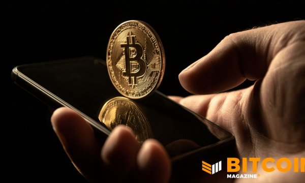 Когда банки не работают, работает биткоин: индекс внедрения от Корнеллского университета