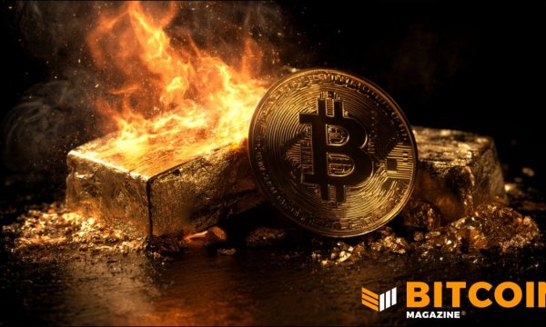 Корреляция биткоина и золота достигла шестилетнего максимума на фоне растущих опасений обесценивания валюты