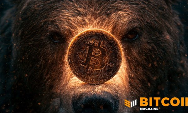 Медвежий рынок биткоина, возможно, ещё не закончился, считает Fidelity