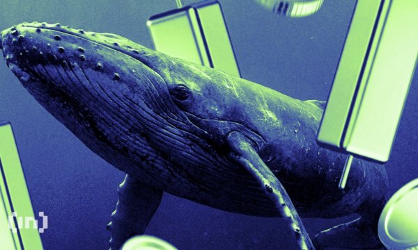 Bitcoin Whales Were Urging Friends to Buy Zcash Before Its Rally to $1,000