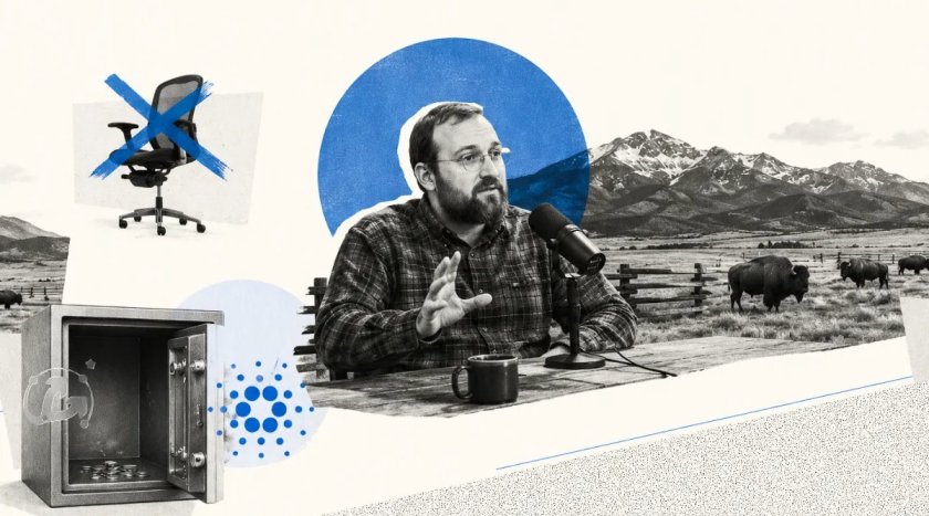 Научный прорыв и пустые пулы: что привело Cardano к кризису?