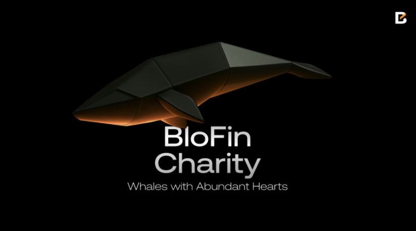 BloFin направляет $1 млн USDT и 12 млн боливаров помощи пострадавшим от землетрясения в Венесуэле BloFin направляет $1 млн USDT и 12 млн боливаров помощи пострадавшим от землетрясения в Венесуэле