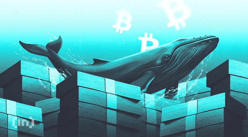 Прогноз цены Bitcoin на август 2026: киты ставят против 4-летней серии убытков Прогноз цены Bitcoin на август 2026: киты ставят против 4-летней серии убытков