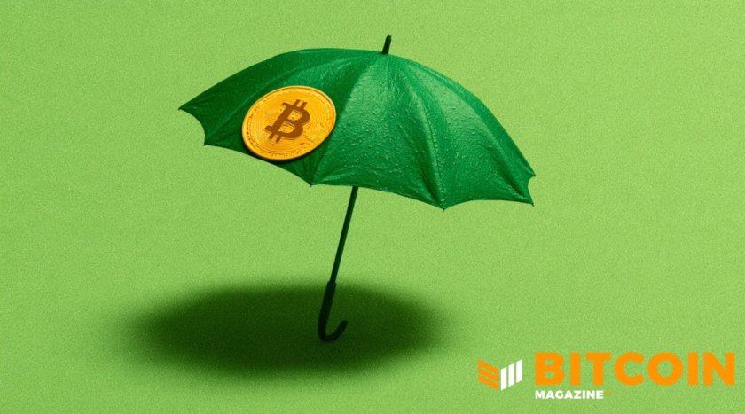 Тем временем Secures привлекла 37,5 миллиона долларов для расширения предложений по страхованию жизни в биткойнах